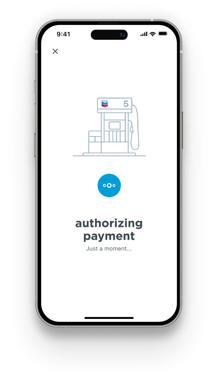 Mobile app Authorize payment screen
